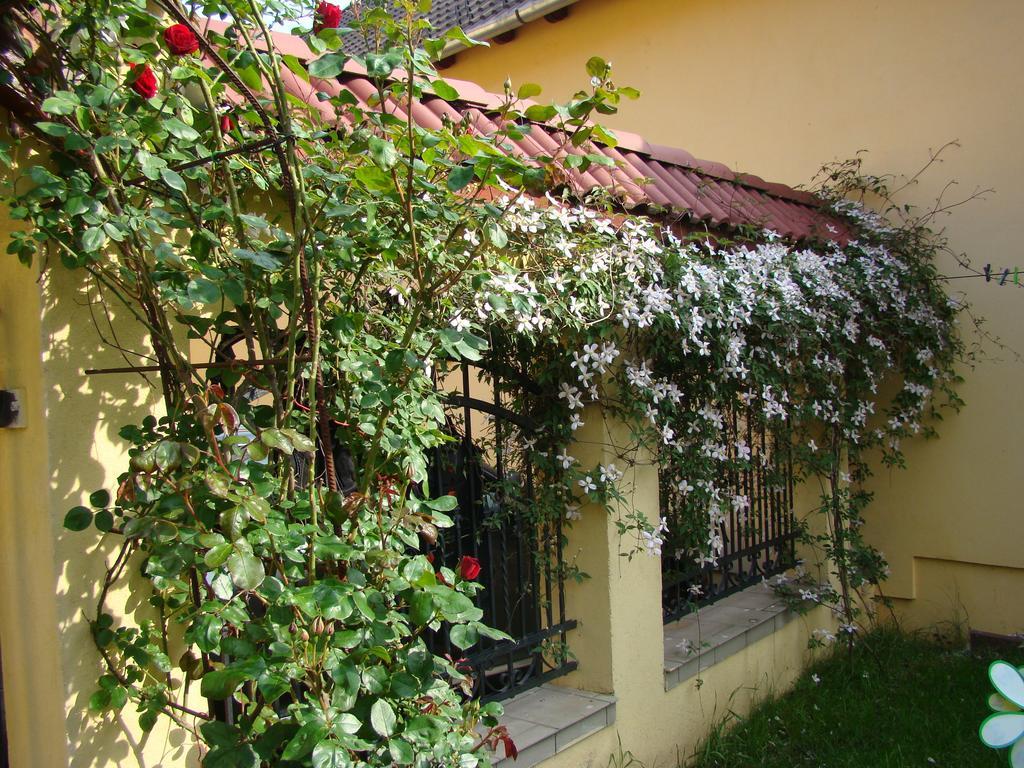 Pensiunea Magnolia Sibiu Exterior foto