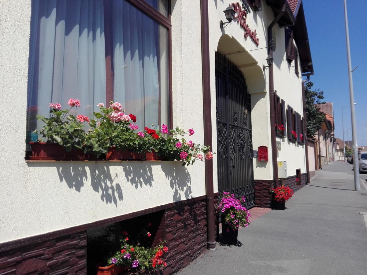 Pensiunea Magnolia Sibiu Exterior foto