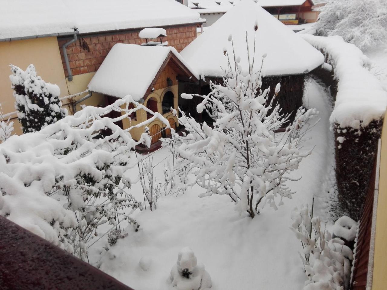 Pensiunea Magnolia Sibiu Exterior foto